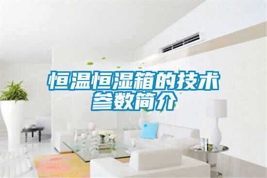 恒溫恒濕箱的技術參數(shù)簡介