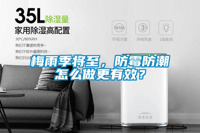 梅雨季將至，防霉防潮怎么做更有效？