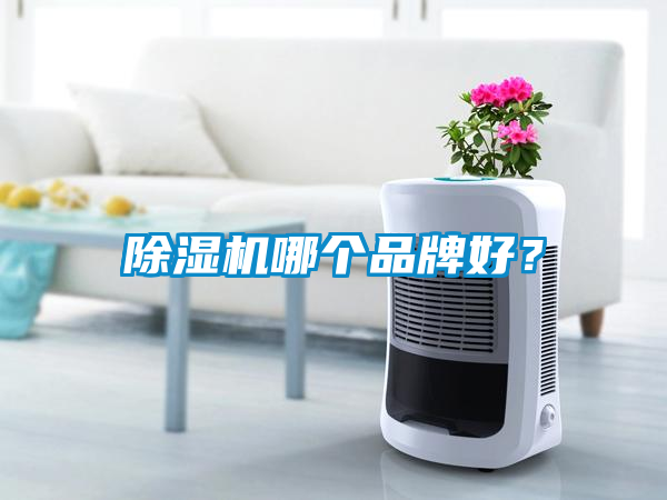除濕機(jī)哪個品牌好？