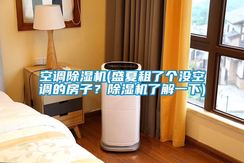 空調(diào)除濕機(jī)(盛夏租了個(gè)沒(méi)空調(diào)的房子？除濕機(jī)了解一下)