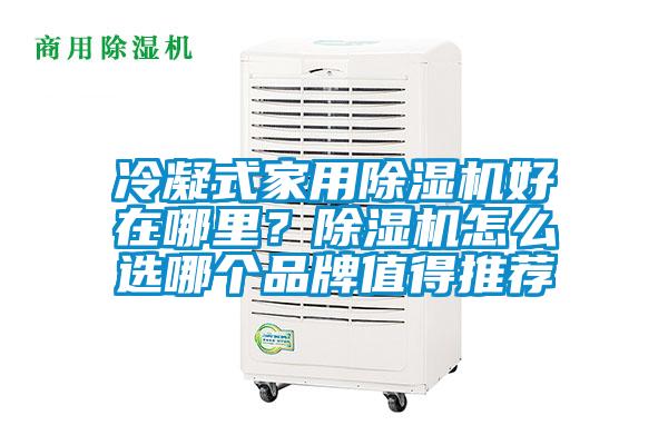 冷凝式家用除濕機好在哪里？除濕機怎么選哪個品牌值得推薦