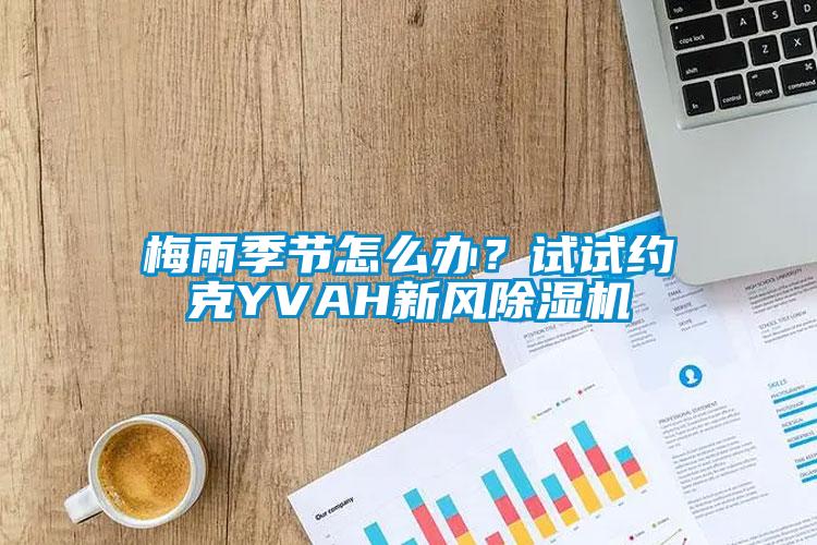 梅雨季節(jié)怎么辦？試試約克YVAH新風(fēng)除濕機(jī)