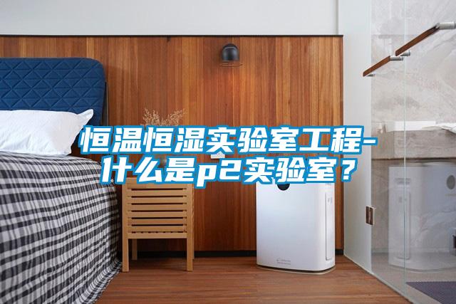 恒溫恒濕實(shí)驗(yàn)室工程-什么是p2實(shí)驗(yàn)室？