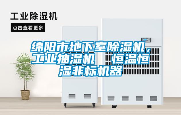 綿陽市地下室除濕機，工業(yè)抽濕機  恒溫恒濕非標(biāo)機器