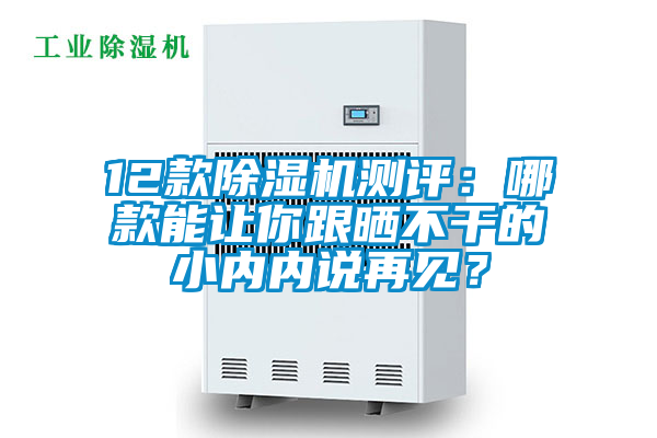 12款除濕機(jī)測(cè)評(píng)：哪款能讓你跟曬不干的小內(nèi)內(nèi)說再見？