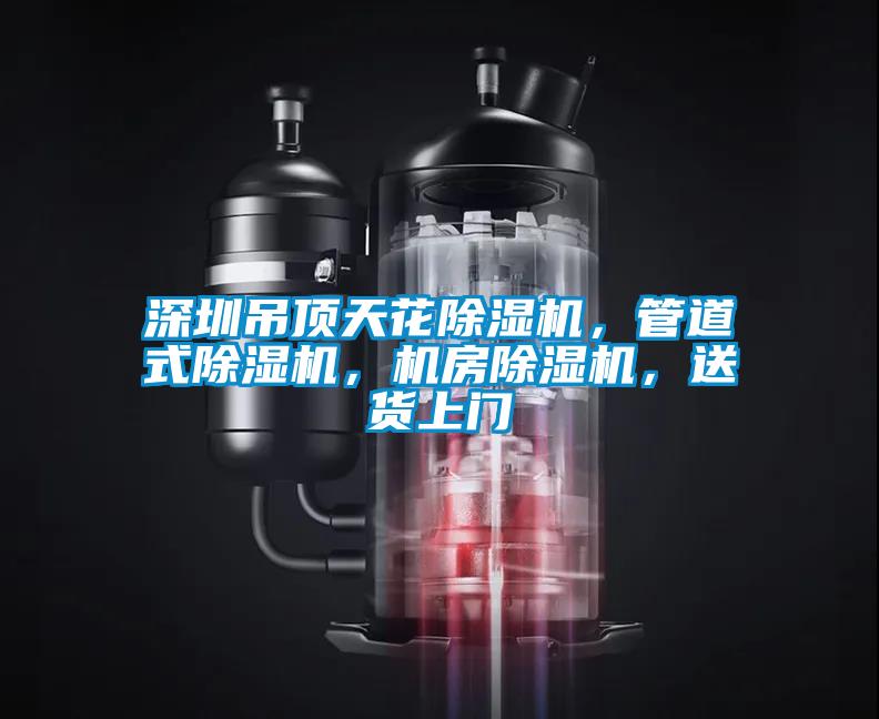 深圳吊頂天花除濕機(jī)，管道式除濕機(jī)，機(jī)房除濕機(jī)，送貨上門