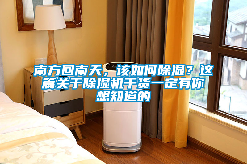 南方回南天，該如何除濕？這篇關于除濕機干貨一定有你想知道的