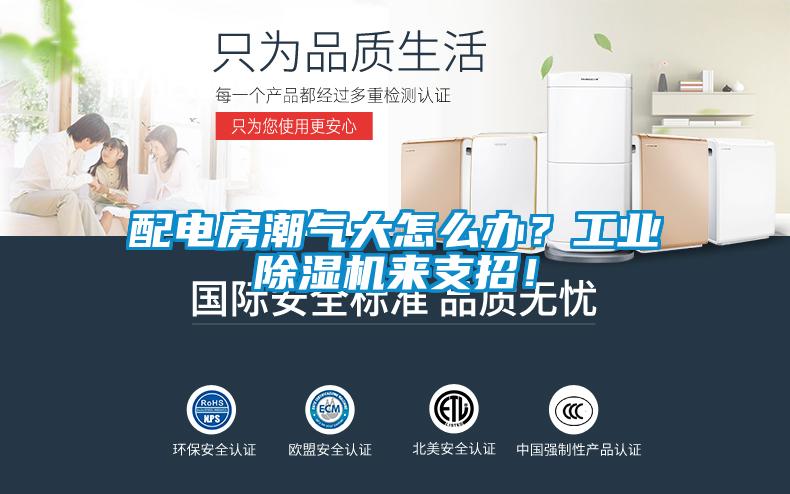 配電房潮氣大怎么辦？工業(yè)除濕機來支招！