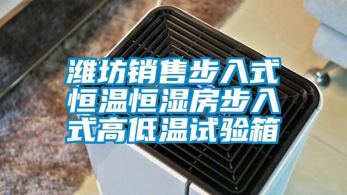 濰坊銷(xiāo)售步入式恒溫恒濕房步入式高低溫試驗(yàn)箱