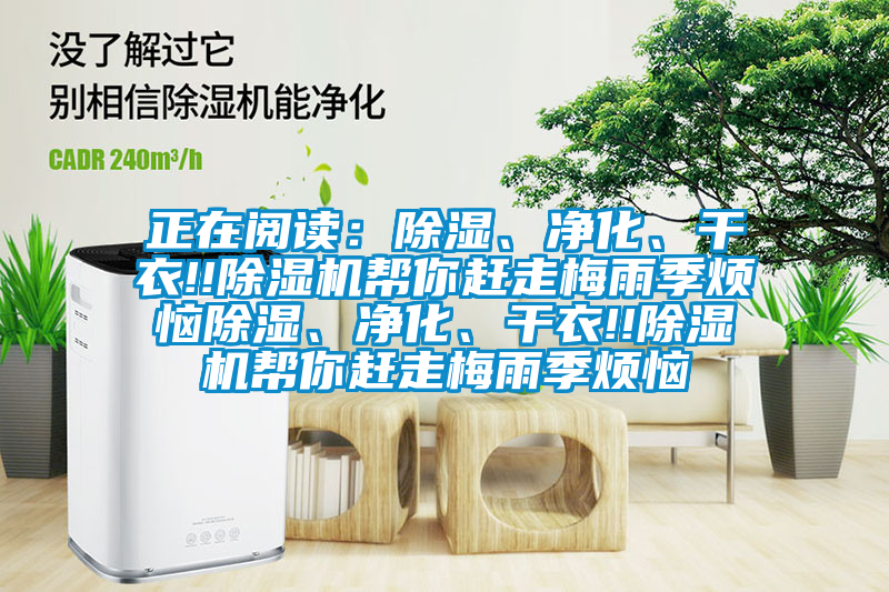 正在閱讀：除濕、凈化、干衣!!除濕機幫你趕走梅雨季煩惱除濕、凈化、干衣!!除濕機幫你趕走梅雨季煩惱