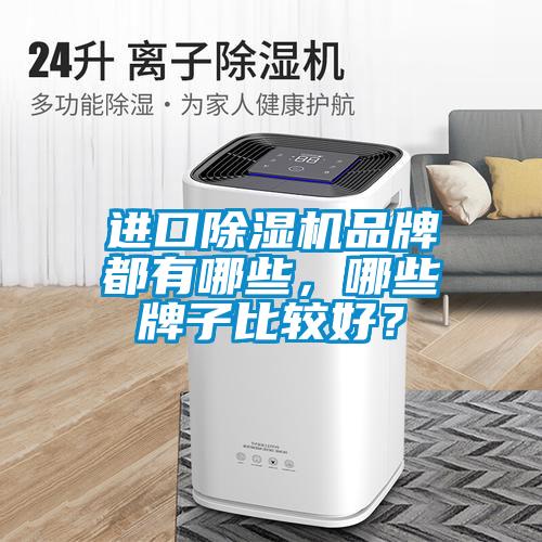 進(jìn)口除濕機(jī)品牌都有哪些，哪些牌子比較好？
