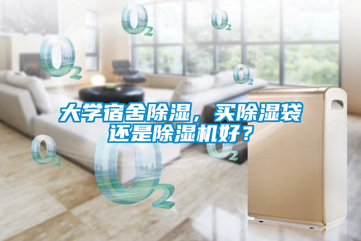 大學(xué)宿舍除濕，買除濕袋還是除濕機(jī)好？