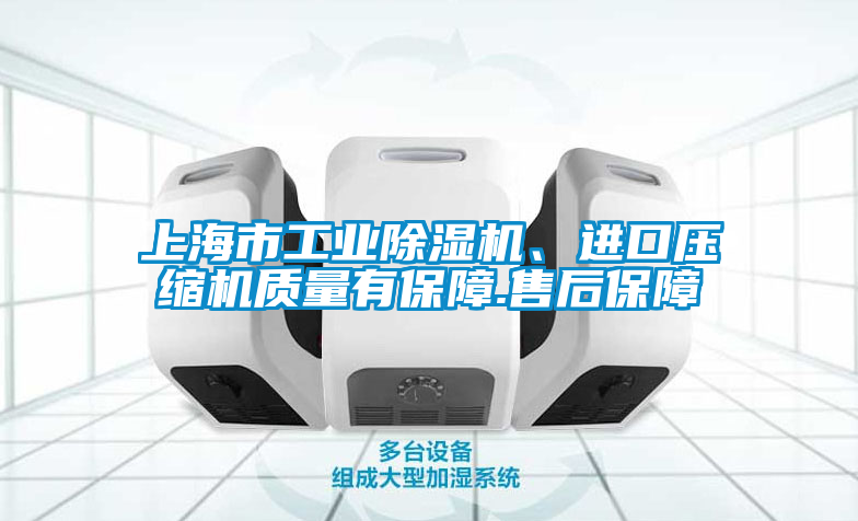 上海市工業(yè)除濕機、進口壓縮機質(zhì)量有保障.售后保障