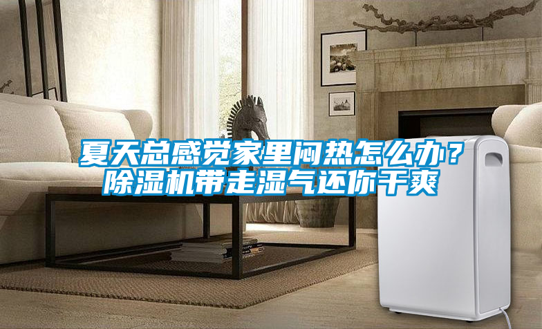 夏天總感覺(jué)家里悶熱怎么辦？除濕機(jī)帶走濕氣還你干爽