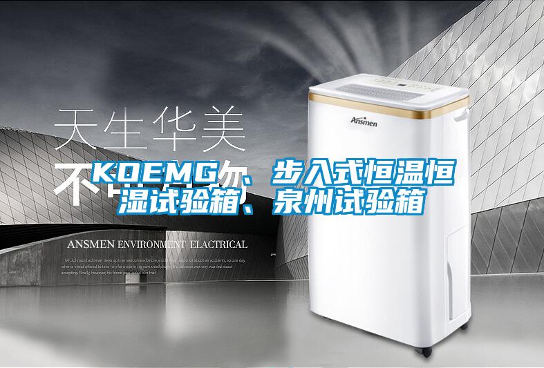KOEMG 、步入式恒溫恒濕試驗(yàn)箱、泉州試驗(yàn)箱