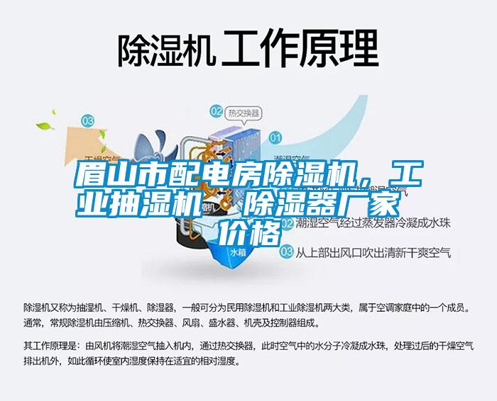 眉山市配電房除濕機(jī)，工業(yè)抽濕機(jī)  除濕器廠家 價(jià)格