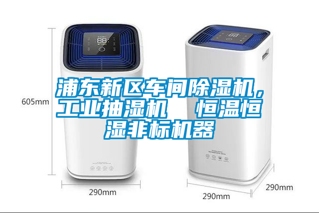 浦東新區(qū)車間除濕機，工業(yè)抽濕機  恒溫恒濕非標機器
