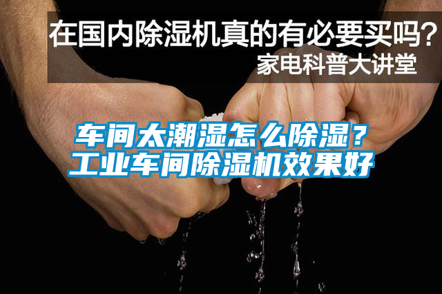 車間太潮濕怎么除濕？工業(yè)車間除濕機(jī)效果好