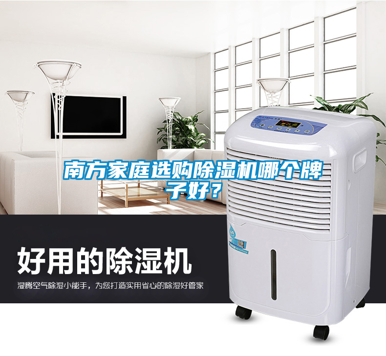 南方家庭選購除濕機哪個牌子好？