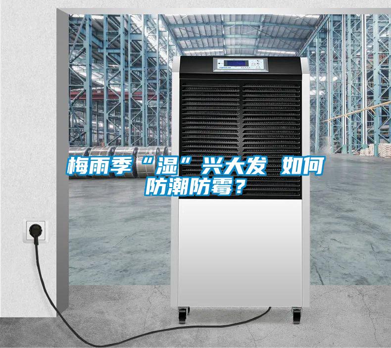 梅雨季“濕”興大發(fā) 如何防潮防霉？