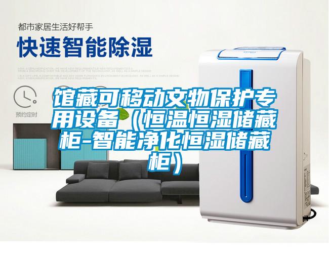 館藏可移動(dòng)文物保護(hù)專(zhuān)用設(shè)備（恒溫恒濕儲(chǔ)藏柜-智能凈化恒濕儲(chǔ)藏柜）