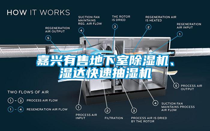 嘉興有售地下室除濕機、濕達快速抽濕機
