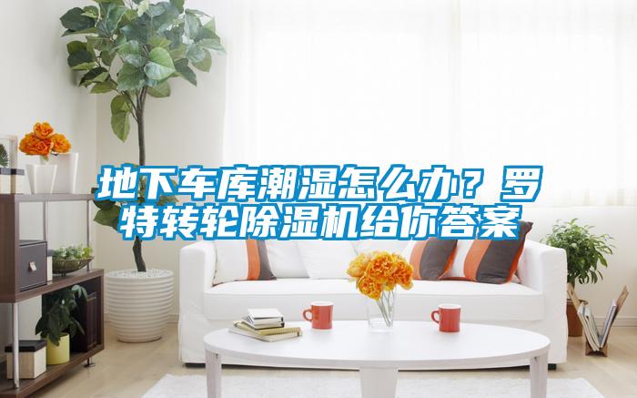 地下車庫(kù)潮濕怎么辦？羅特轉(zhuǎn)輪除濕機(jī)給你答案