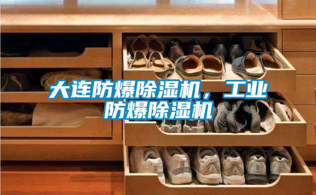 大連防爆除濕機(jī)，工業(yè)防爆除濕機(jī)