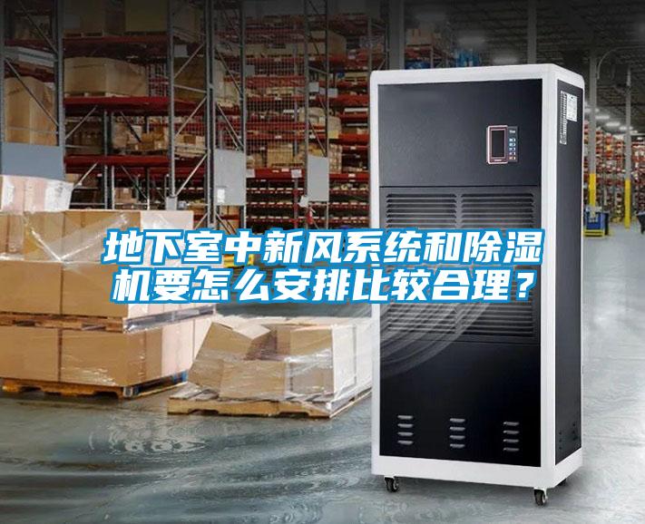 地下室中新風(fēng)系統(tǒng)和除濕機(jī)要怎么安排比較合理？