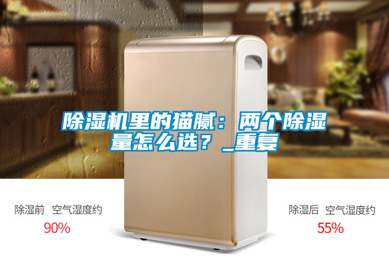 除濕機(jī)里的貓膩：兩個除濕量怎么選？_重復(fù)