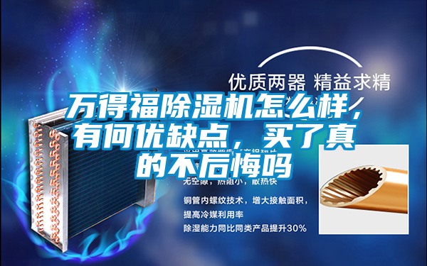 萬得福除濕機怎么樣，有何優(yōu)缺點，買了真的不后悔嗎