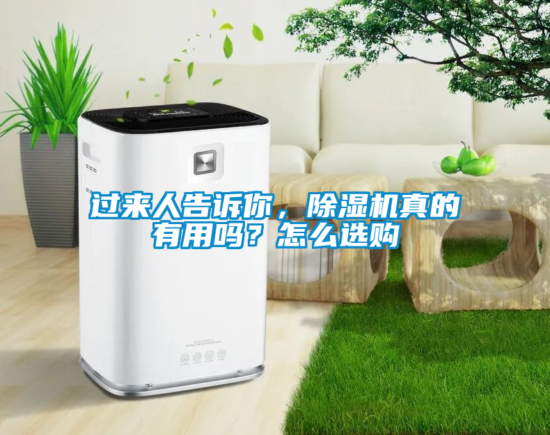 過(guò)來(lái)人告訴你，除濕機(jī)真的有用嗎？怎么選購(gòu)