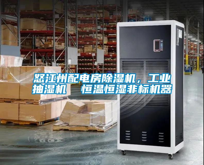 怒江州配電房除濕機(jī)，工業(yè)抽濕機(jī)  恒溫恒濕非標(biāo)機(jī)器