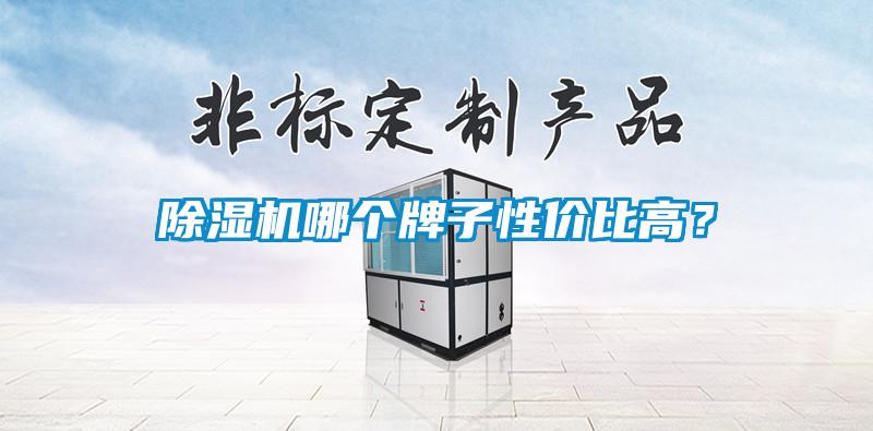 除濕機(jī)哪個(gè)牌子性價(jià)比高？