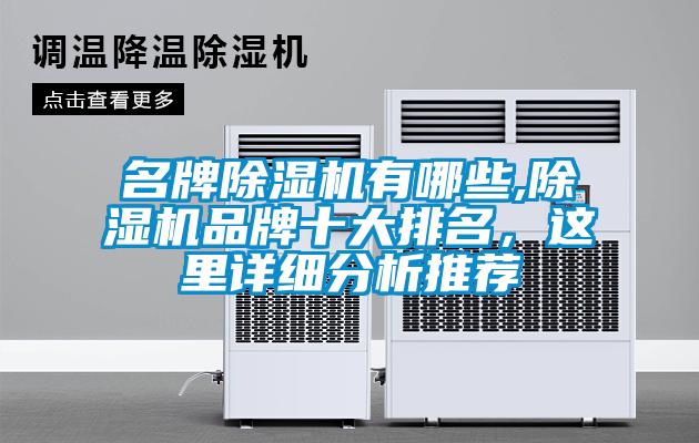 名牌除濕機(jī)有哪些,除濕機(jī)品牌十大排名，這里詳細(xì)分析推薦