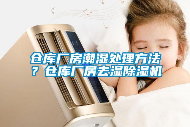 倉(cāng)庫(kù)廠房潮濕處理方法？倉(cāng)庫(kù)廠房去濕除濕機(jī)
