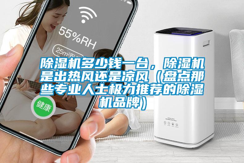 除濕機(jī)多少錢一臺(tái)，除濕機(jī)是出熱風(fēng)還是涼風(fēng)（盤點(diǎn)那些專業(yè)人士極力推薦的除濕機(jī)品牌）