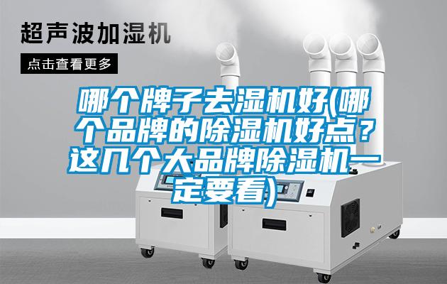 哪個(gè)牌子去濕機(jī)好(哪個(gè)品牌的除濕機(jī)好點(diǎn)？這幾個(gè)大品牌除濕機(jī)一定要看)