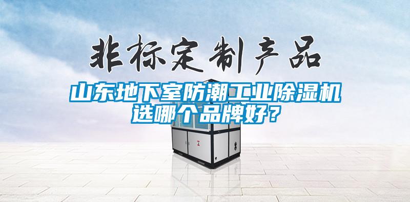 山東地下室防潮工業(yè)除濕機選哪個品牌好？