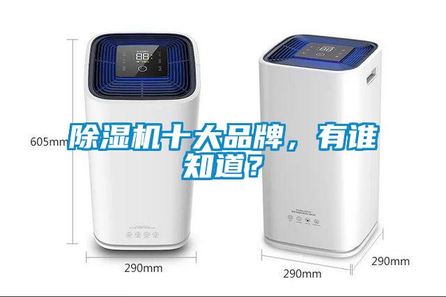 除濕機(jī)十大品牌，有誰知道？