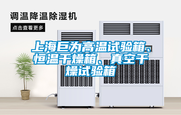 上海巨為高溫試驗(yàn)箱、恒溫干燥箱、真空干燥試驗(yàn)箱
