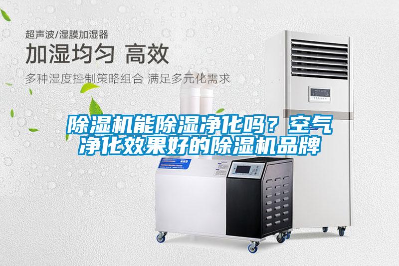 除濕機能除濕凈化嗎？空氣凈化效果好的除濕機品牌