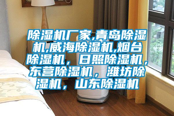 除濕機廠家,青島除濕機,威海除濕機,煙臺除濕機，日照除濕機，東營除濕機，濰坊除濕機，山東除濕機