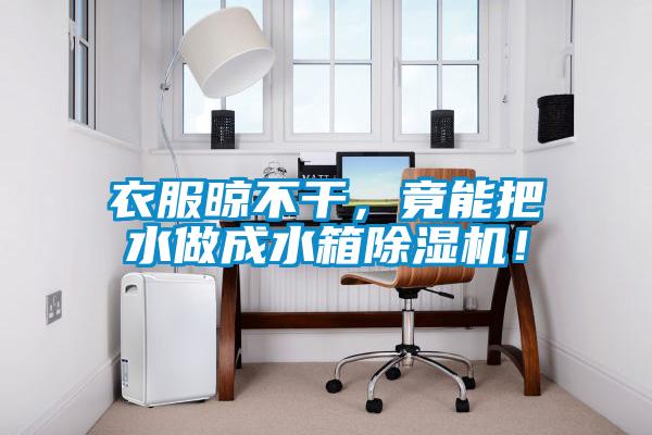 衣服晾不干，竟能把水做成水箱除濕機(jī)！