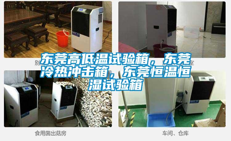 東莞高低溫試驗(yàn)箱，東莞冷熱沖擊箱，東莞恒溫恒濕試驗(yàn)箱