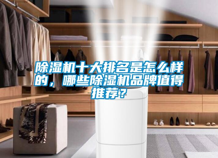 除濕機十大排名是怎么樣的，哪些除濕機品牌值得推薦？