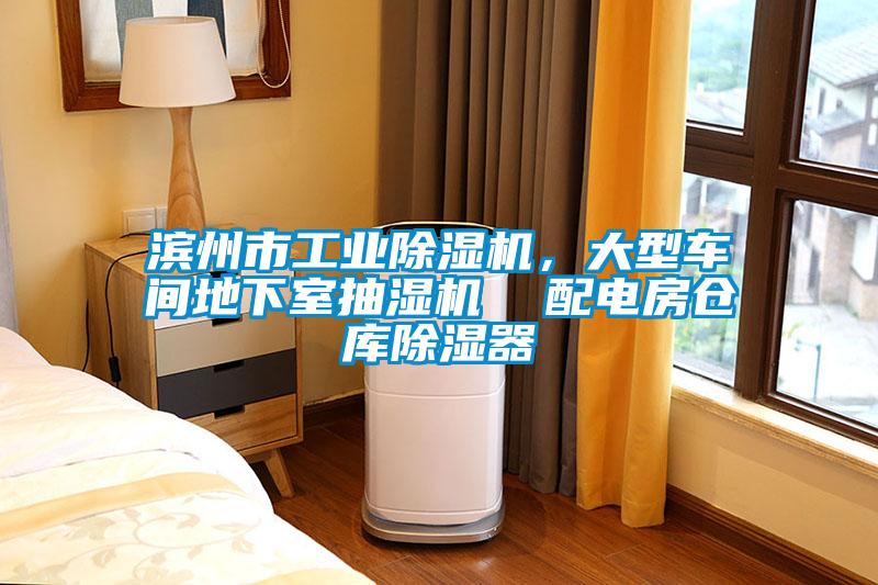 濱州市工業(yè)除濕機，大型車間地下室抽濕機  配電房倉庫除濕器