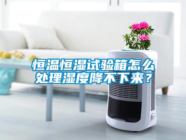 恒溫恒濕試驗(yàn)箱怎么處理濕度降不下來？