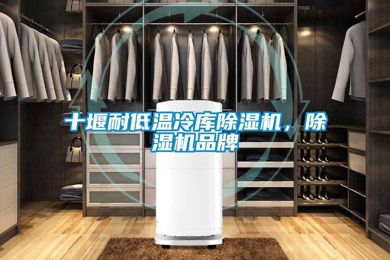 十堰耐低溫冷庫除濕機，除濕機品牌