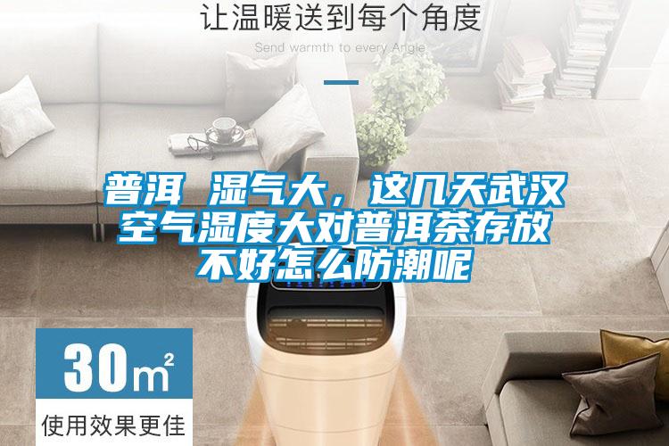 普洱 濕氣大，這幾天武漢空氣濕度大對普洱茶存放不好怎么防潮呢